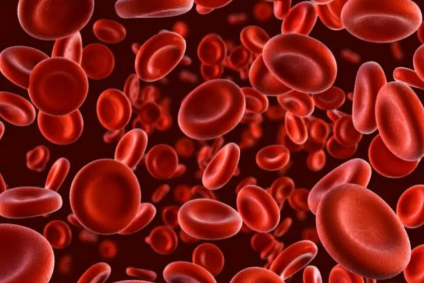 World Haemophilia Day 2025: Traveling With Haemophilia - Essential Tips For A Safe Journey