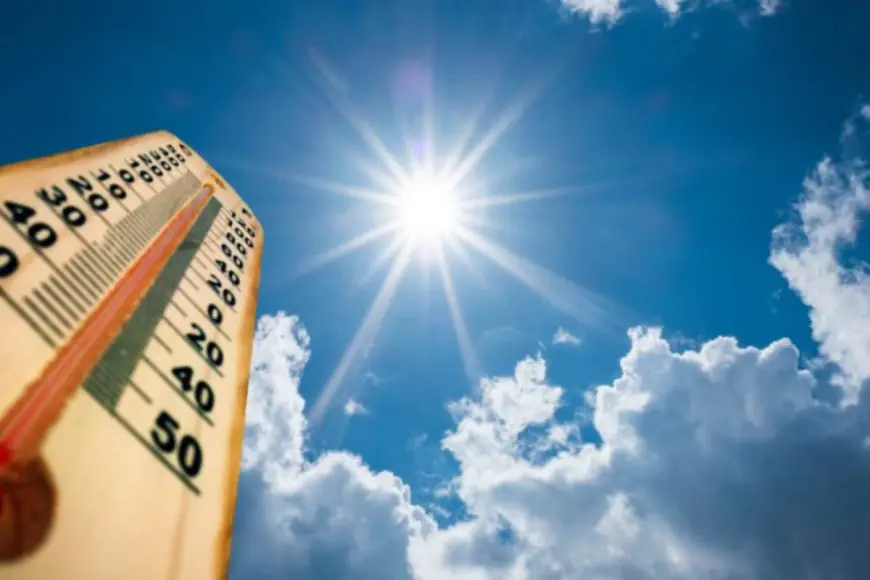 How Heat Waves Can Impact Health in the Long Term