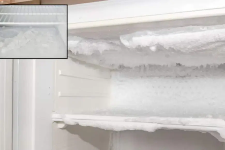 Easy Tips And Tricks To Get Rid Of Ice Build-Up In Your Single-Door Fridge