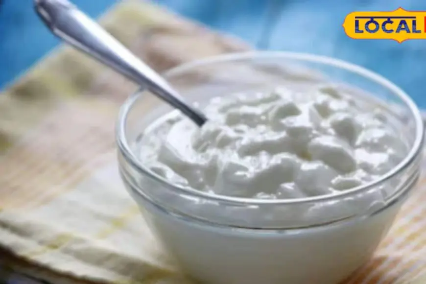 Eating Curd In Summer? Here’s What You Should Know