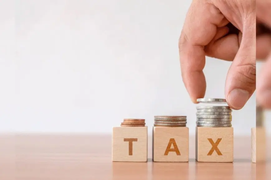 Luxury Sportswear, Watches, Handbags Above Rs 10 Lakh To Attract 1% TCS