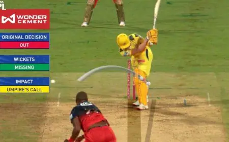 On Dewald Brevis DRS Controversy, CSK Coach Makes Explosive Claim: "Big Moment..."