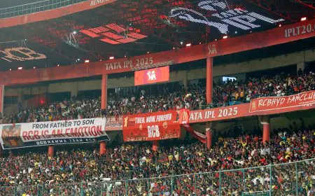 Two Families Clash In Heated Argument In VIP Box During RCB vs CSK Match, Police Complaint Filed