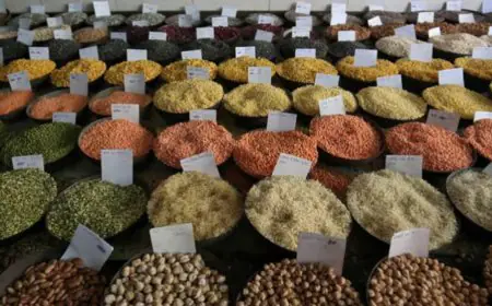 Suleman Danawana: A Legacy of Quality Pulses in Wholesale Trade
