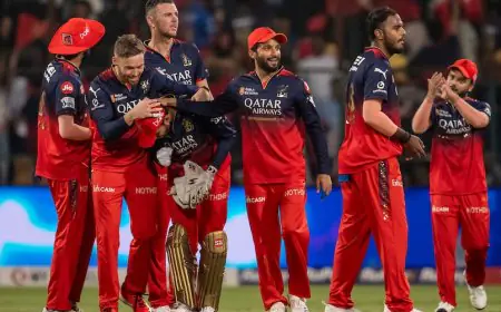 Amid Talks Of IPL 2025 Restarting, RCB Suffer Huge Blow As Rs 12.50 Crore Star Gets Injured