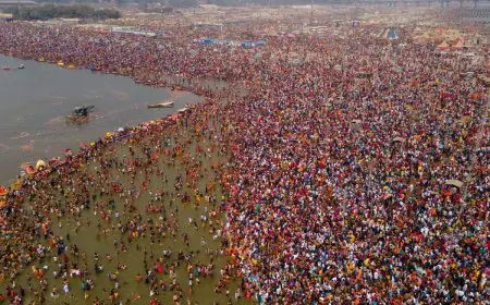 Music, Memes, and Maha Moments: How India’s Summer Was Reimagined