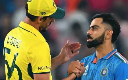 "Mitchell Starc Liked Bowling To Virat Kohli Because...": Alyssa Healy's Interesting Revelation