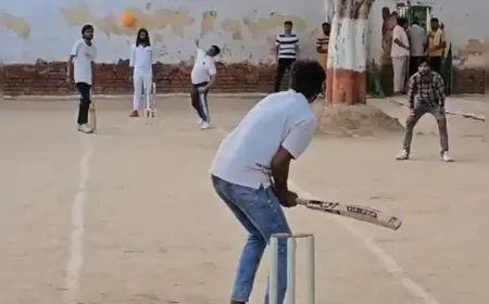 Knight Riders Beat Capitals To Clinch 'Jail Premier League'. Video