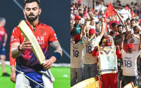 Fans Pay Special Tribute To Virat Kohli During RCB vs KKR IPL 2025 Game. Pics Go Viral