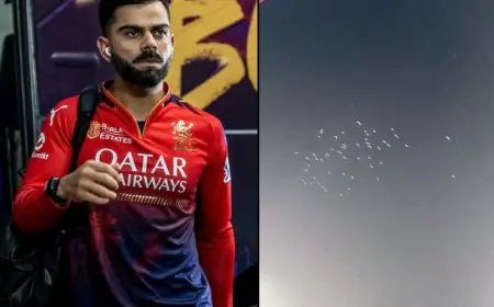 "White Pigeons Over Chinnaswamy": Virat Kohli Gets Ultimate Tribute In Bengaluru