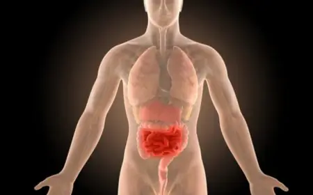 Crohn’s Disease: Understanding the Symptoms, Risks, and Insights