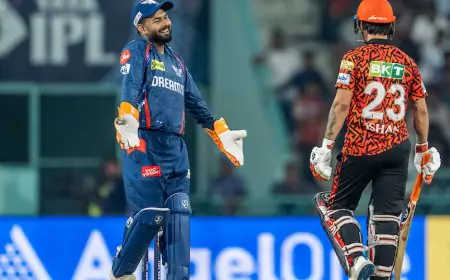Rishabh Pant In Animated Chat With Umpire Over DRS Drama During LSG vs SRH Match. This Happens Next