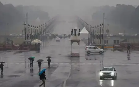 How To Build Immunity Ahead Of The Monsoon Season