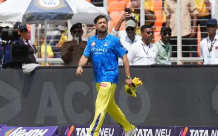 MS Dhoni To Retire From IPL After GT vs CSK Match? "Haven't Achieved...", Say Fans