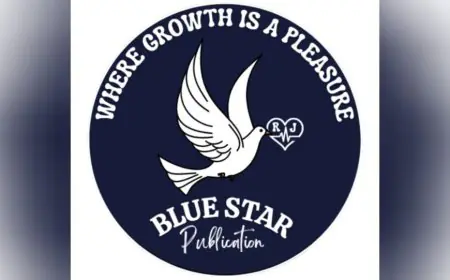 501 Writers Recognized Nationwide in Blue Star Publication’s LITSTAR Summit 2025