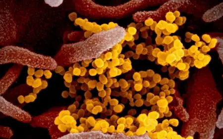 How to Spot Urinary Tract Infections In School-Aged Children