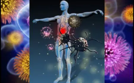 Why Doesn’t The Immune System Attack Food? Israeli Scientists Have Found The Answer