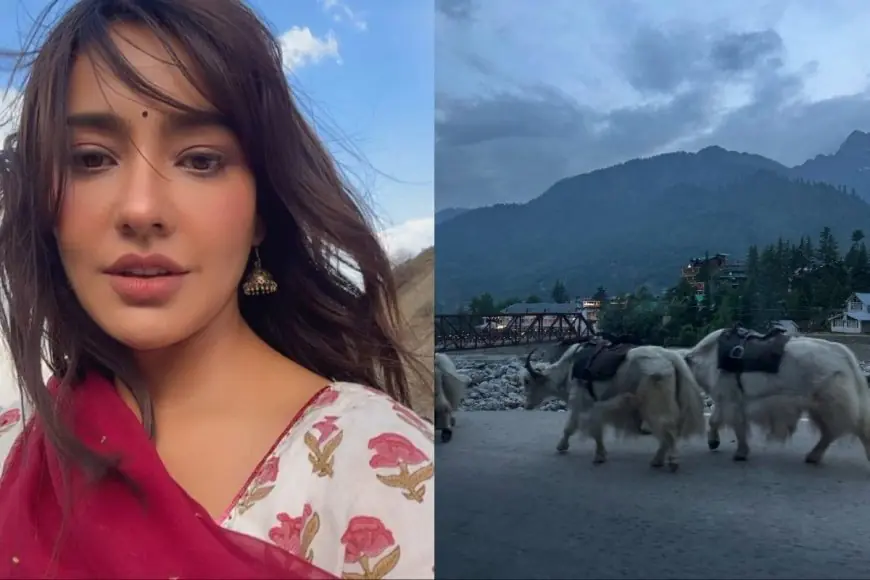 Neha Sharma Shares Scenic Moments From Manali, Here Are 5 Spots You Must Visit