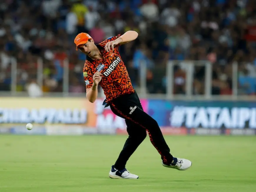 Harbhajan Singh Rubs 'Maldives' Salt On Pat Cummins' Wounds Over SRH's Poor IPL Show