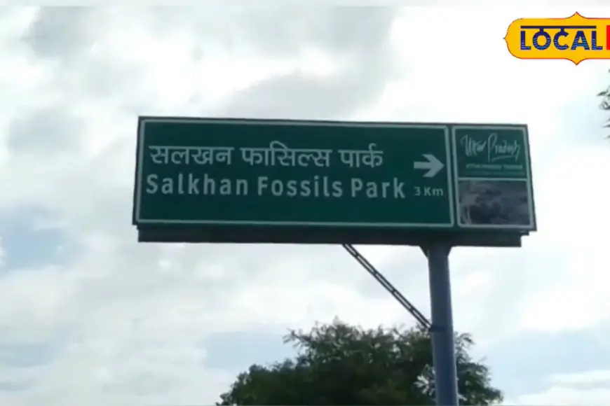 150-Crore-Year-Old Fossil Park, Larger Than Yellowstone, Discovered In This UP Village