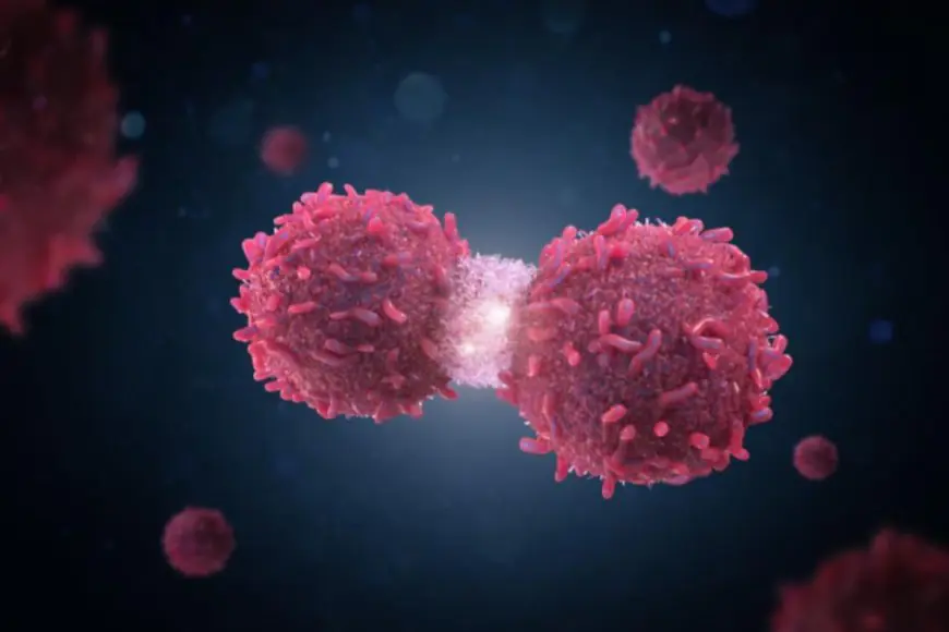 How Lifestyle Changes And Early Detection Can Help Prevent Ovarian Cancer