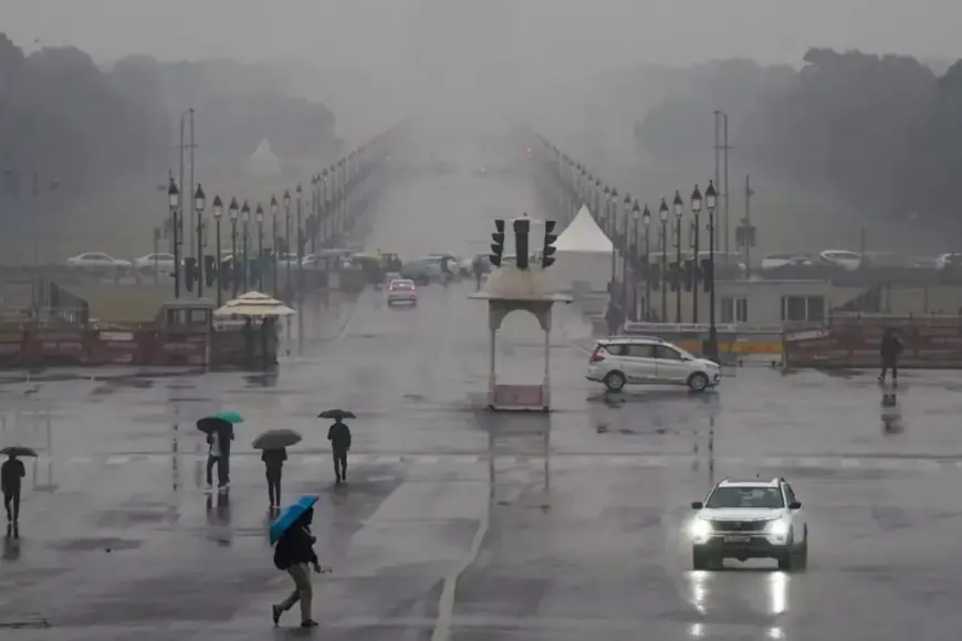 How To Build Immunity Ahead Of The Monsoon Season