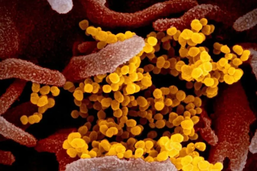 How to Spot Urinary Tract Infections In School-Aged Children