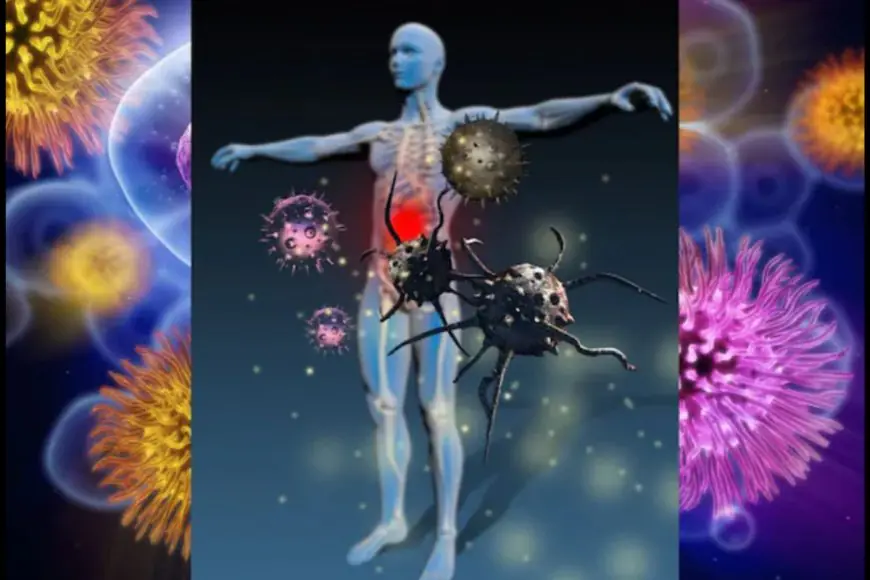 Why Doesn’t The Immune System Attack Food? Israeli Scientists Have Found The Answer