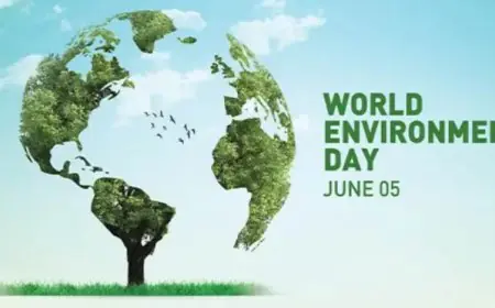 The Global Hospitality Industry is Redefining Luxury Travel This World Environment Day