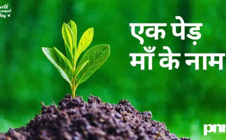 PM Modi to Head Tree Plantation Drive Under ‘Ek Ped Maa Ke Naam’ on World Environment Day