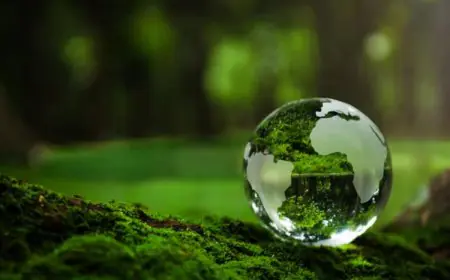 World Environment Day: From Plastic Panic to Planet-First Practice