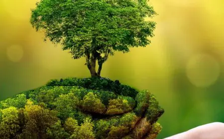 Circular Goals, Lasting Impact: How Businesses Are Building a Sustainable Tomorrow