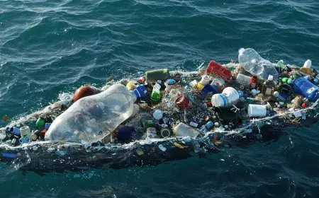 Redefining Waste: How The Circular Economy Can Help Tackle Plastic Pollution