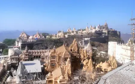 This Is The Only Place In The World Where Non-Veg Food Is Completely Outlawed