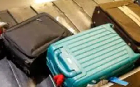 Lost Your Luggage At The Airport? Follow These Simple Steps to Get It Back