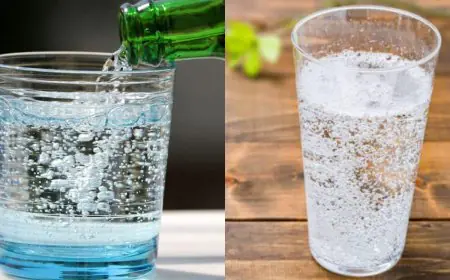 Sparkling Water Vs Soda Water: Why 99% People Get This Daily Drink Wrong