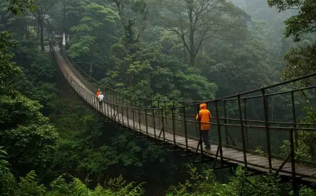 From Rains To Retreats: Why Nature Lovers Are Choosing Monsoon Holidays