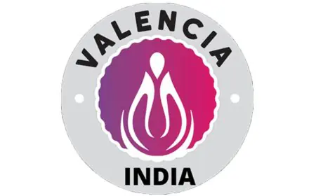 Valencia India Ltd plans to raise up to Rs. 48.95 crore from public issue. IPO opens on June 26, 2025