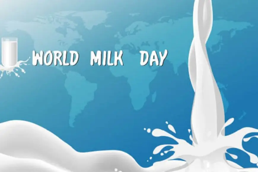 World Milk Day: Where Your Milk Comes From And Why It Matters Today