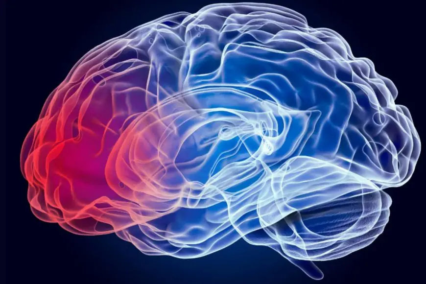 Not Just another Headache: Subtle Signs of Brain Tumours