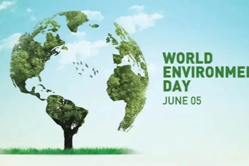 From Fashion to Fur Babies to Future Cities: How Indian Brands Are Going Green