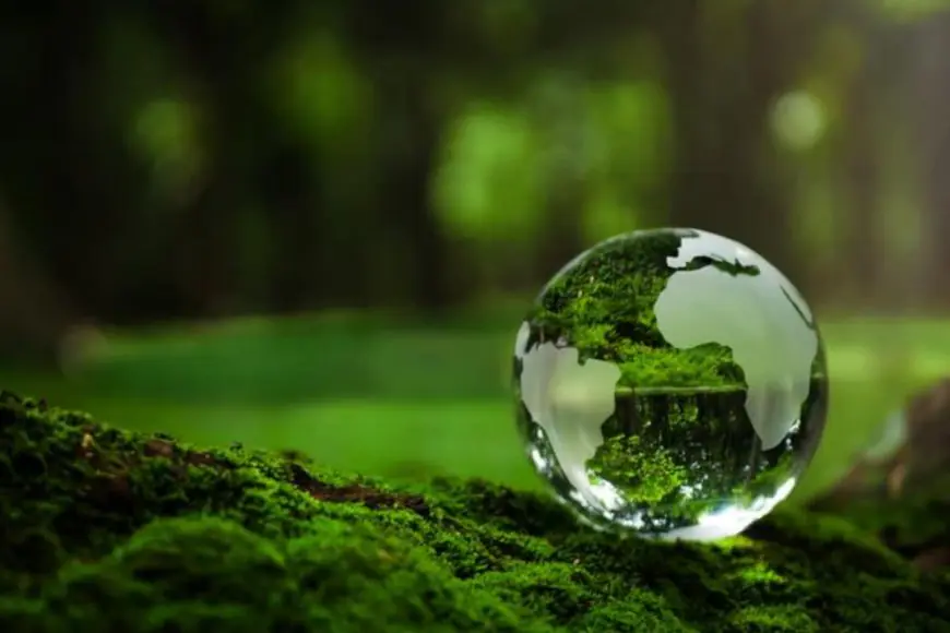 Today’s Generation Takes a Step Forward to Protect the Environment