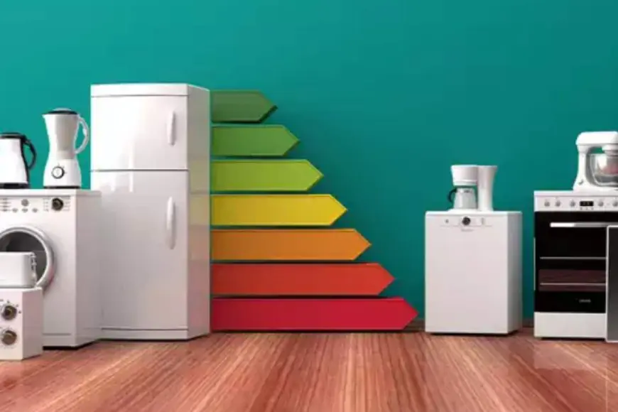 Vacuuming for the Planet: How Modern Appliances Are Powering a Cleaner, Greener Future