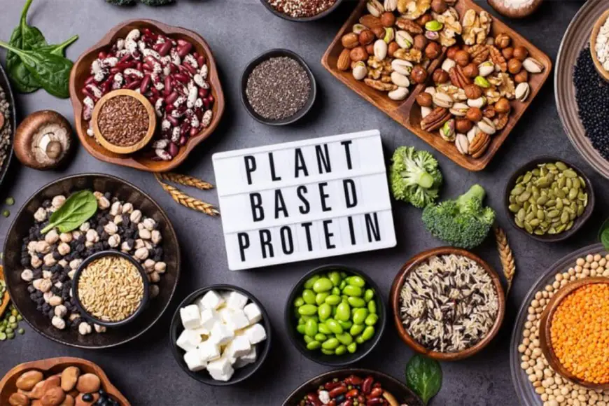 Plant-Based Proteins: The Sustainable Choice Shaping the Future of Nutrition