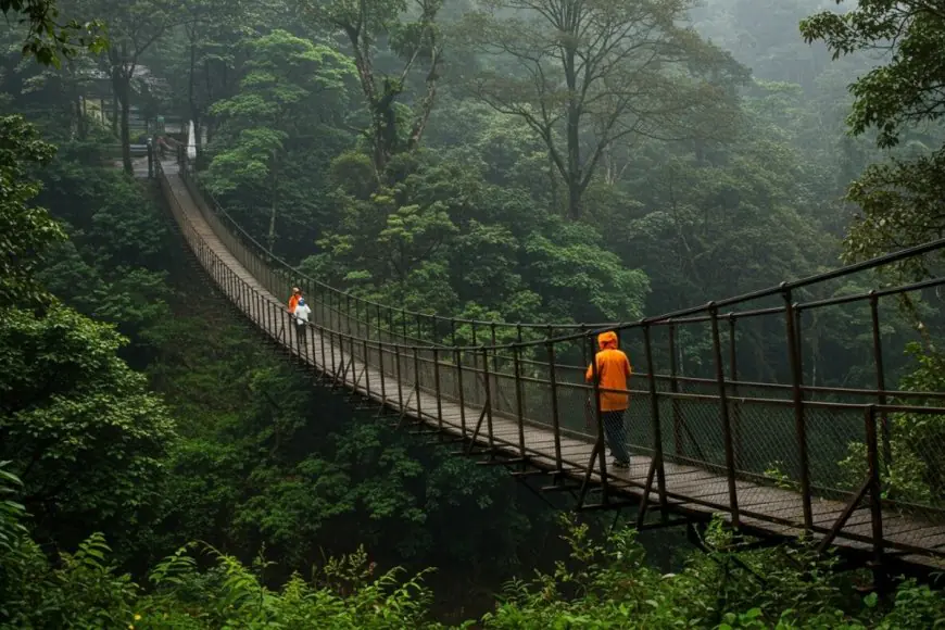 How To Plan A Monsoon Trip In India: 5 Tips For A Magical Adventure