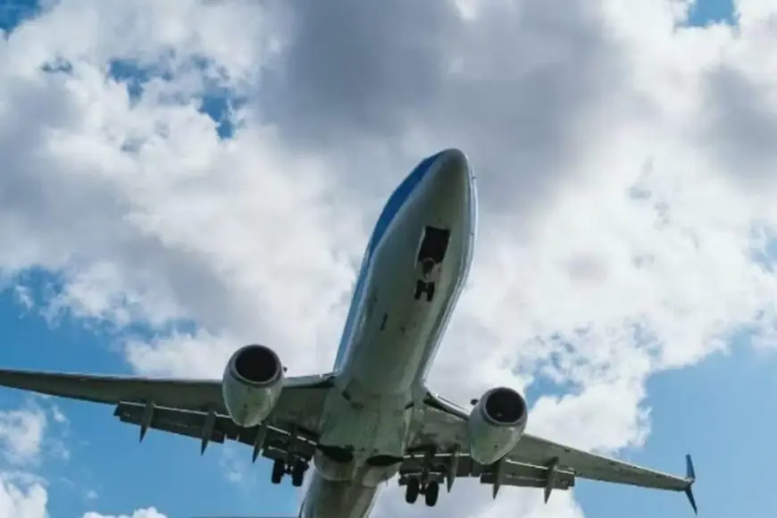 Air India Plane Crash Triggered Flight Anxiety? Expert Shares How To Navigate The Fear