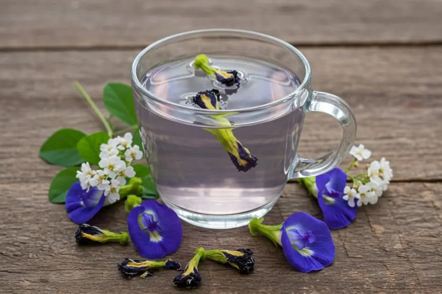 Why Starting Your Day With Blue Tea Might Be A Game-Changer For Your Health