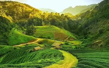 Where To Travel In July: Offbeat Gems You Haven’t Thought Of Yet