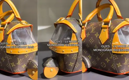 Louis Vuitton’s Autorickshaw Bag Drives the Internet Wild: Couture Just Took a Joyride Through India