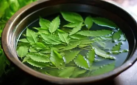 Do Neem Or Tulsi-Infused Baths Offer Dermatological Benefits During The Rainy Season?